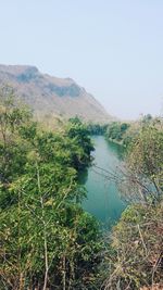 Scenic view of landscape against clear sky