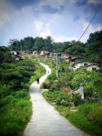 Footpath amidst trees and houses against sky