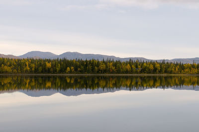 Scenic view of lake by trees against sky