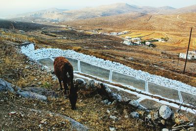 View of mountain range