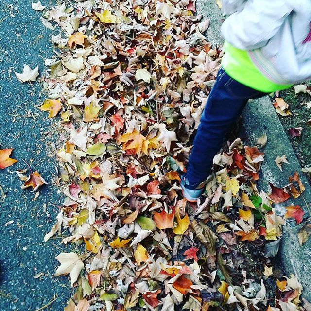 autumn, leaf, season, change, leaves, low section, dry, lifestyles, person, fallen, standing, high angle view, men, leisure activity, shoe, unrecognizable person, field, day