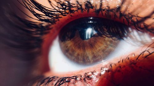 Close-up portrait of human eye