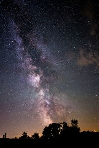 Low angle view of silhouette trees against star field