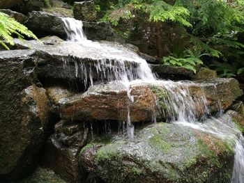 Scenic view of waterfall in forest