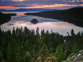 Scenic view of forest against sky during sunset