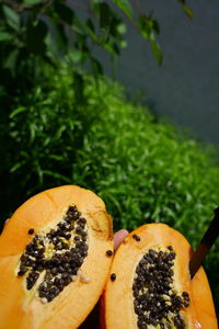 High angle view of orange on table