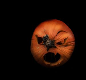 Close-up of pumpkin against black background