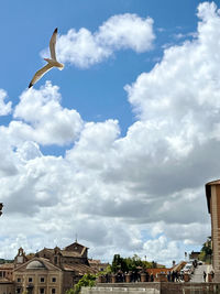 cloud