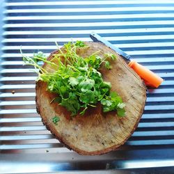 High angle view of vegetables on table