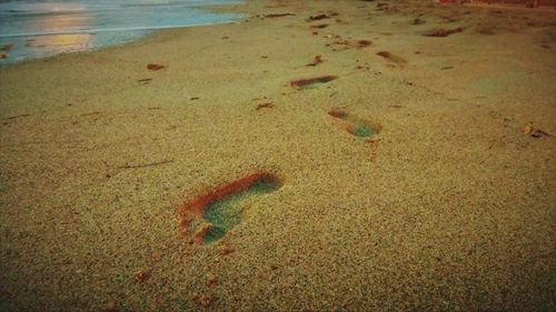 High angle view of beach