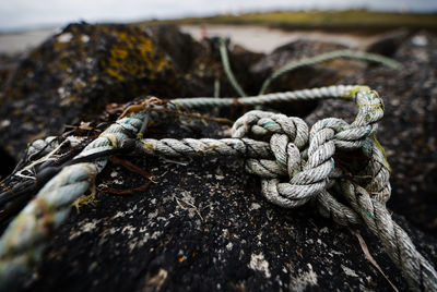 Close-up of rope tied on wood