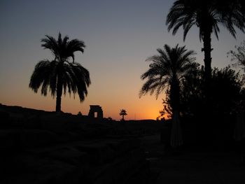 Silhouette palm trees at sunset