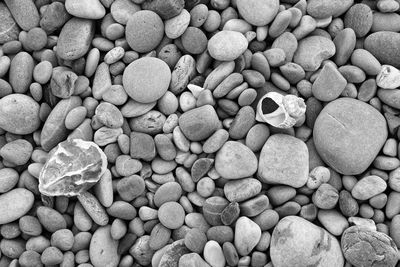 High angle view of stones