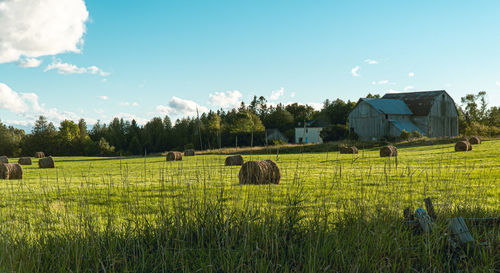 Hay bales on field against sky