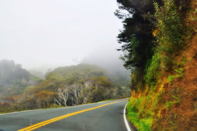 Road passing through forest