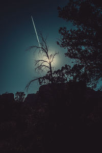 Low angle view of silhouette trees against clear sky at night