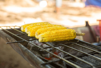 Grilled corn. vegetables grilled corn on the hot stove.