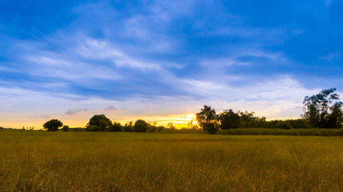 Scenic view of field against sky during sunset