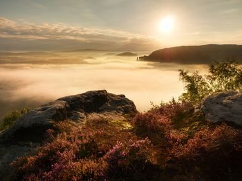 View into deep misty valley over tufts of heather. hills increased from autumn foggy countryside