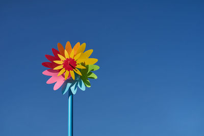 Low angle view of flowering plant against clear blue sky