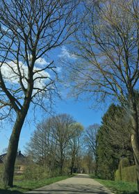 Empty road with trees in background