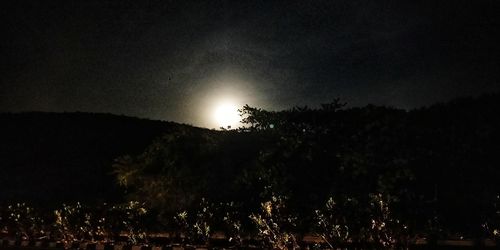 Low angle view of silhouette trees against sky at night