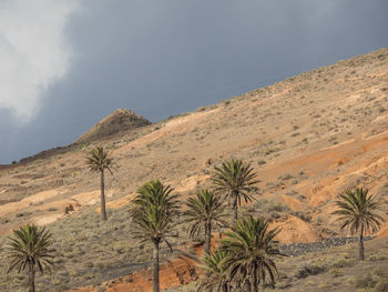 The canary island lanazarote