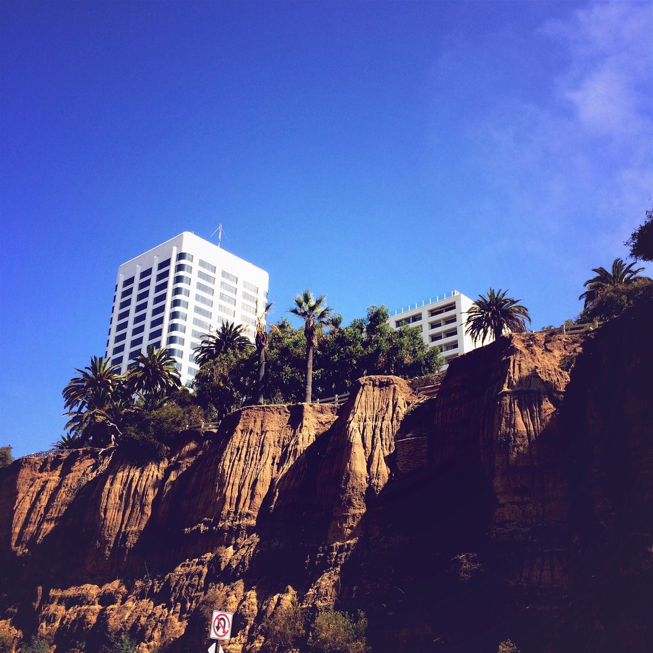 building exterior, architecture, built structure, clear sky, low angle view, blue, tree, building, city, tall - high, copy space, sky, modern, sunlight, outdoors, day, residential building, residential structure, tower, office building