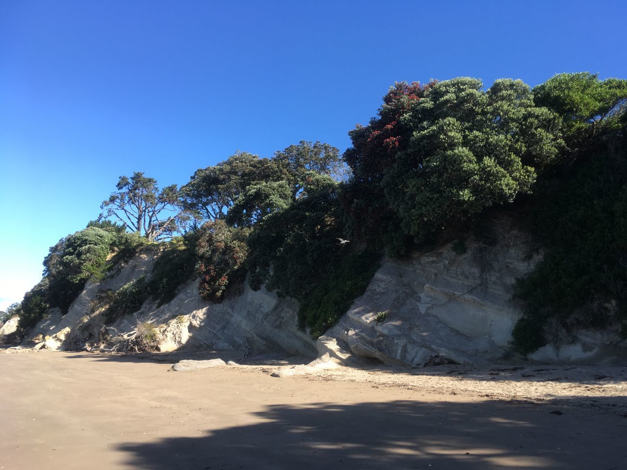 sunlight, nature, clear sky, day, tranquility, sand, beauty in nature, rock - object, no people, tree, blue, outdoors, tranquil scene, scenics, shadow, beach, sky