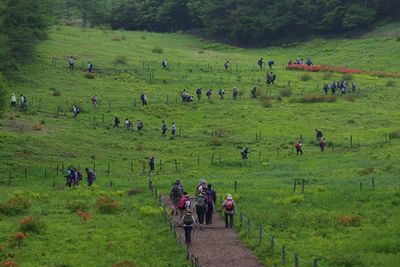 Crowd on grassy land