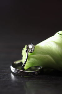 Close-up of wedding rings