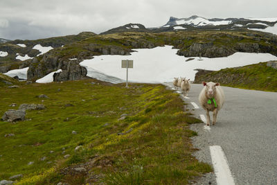 View of people walking on road by mountain