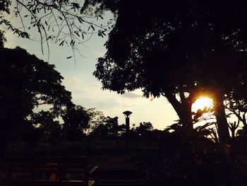Silhouette of trees at sunset