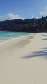 Scenic view of beach