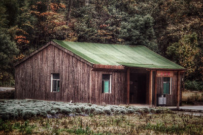 House on field