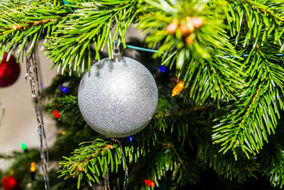 Close-up of bauble hanging from christmas tree at night
