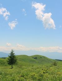 Scenic view of landscape against cloudy sky