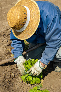 High angle view of man working on field