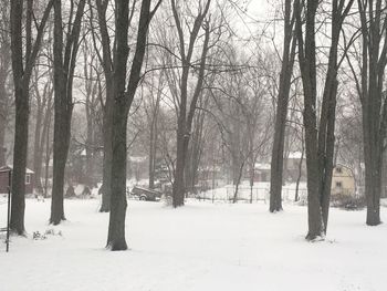 Bare trees on snow covered land during winter