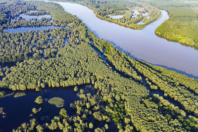 High angle view of agricultural field