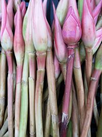 Full frame shot of vegetables for sale at market stall