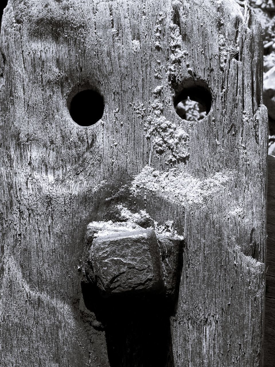 CLOSE-UP OF OLD METAL DOOR