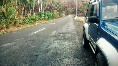 Road passing through trees