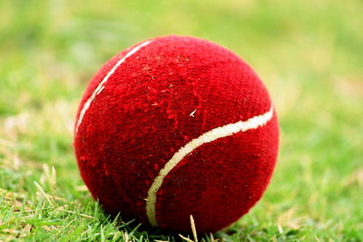 Close-up of red ball on field