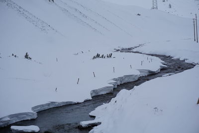 Flock of birds on snow covered landscape