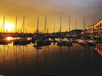 Sailboats moored at harbor during sunset