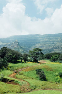 Scenic view of field against sky