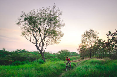 Young man riding a bicycle on meadow at sunset, surabaya, indonesia