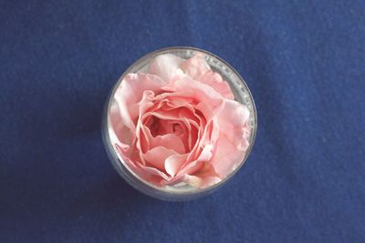 Close-up of pink rose in bowl