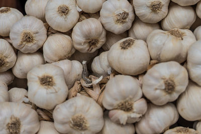 Full frame shot of onions for sale at market